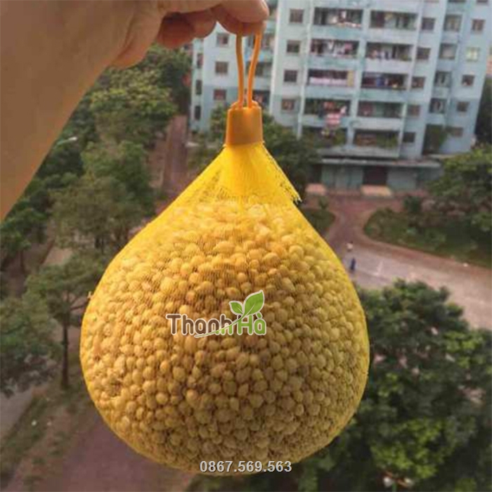 Móc khóa chịu được sức nặng tốt mà không bị bong đứt