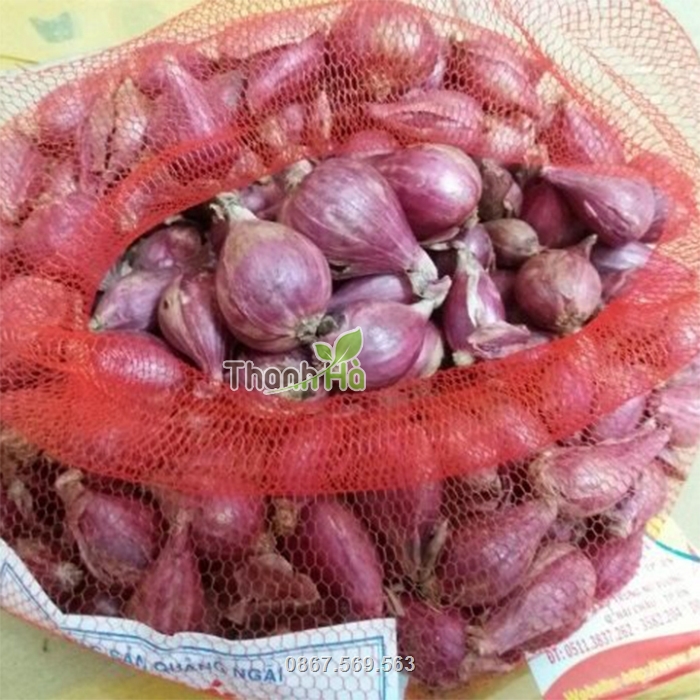 Túi với các mắt cáo thông thoáng, không gây hấp hơi khi đựng