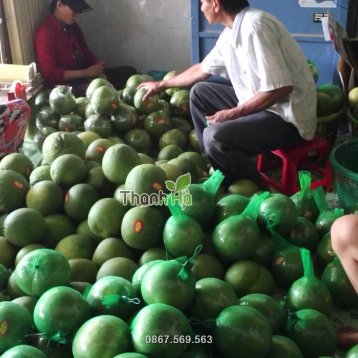 Túi lưới nhựa đựng trái cây, nông sản giá rẻ