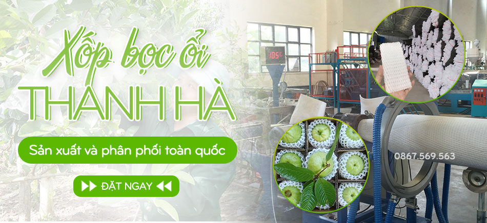 (Sản xuất xốp bọc trái cây)