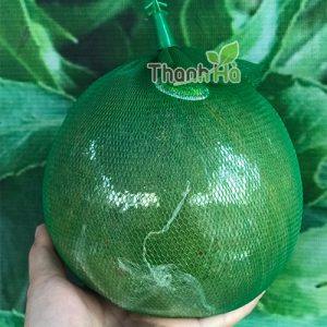 Lưới đựng quả kèm móc khóa dài 35cm - 1kg Lưới đựng quả kèm móc khóa dài 35cm - 1kg