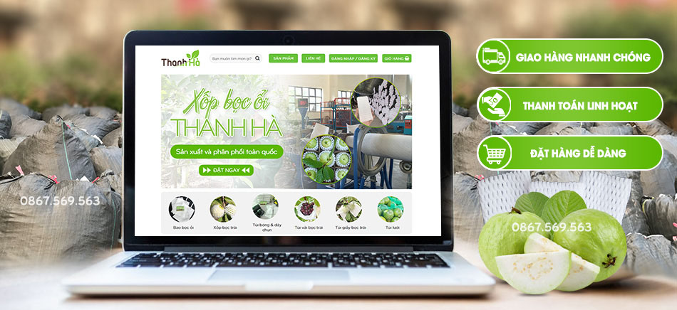 Xốp bọc ổi Thanh Hà