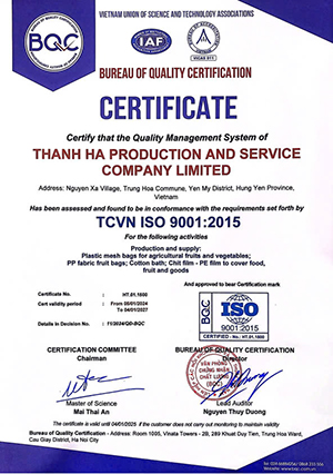 Xốp bọc ổi Thanh Hà