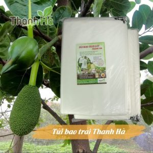 Bán túi bao mít chất liệu vải không dệt loại 50x70cm hiệu Thanh Hà