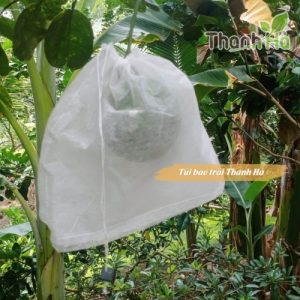 Bán túi bọc trái cây độ bền cao thương hiệu Thanh Hà kích cỡ 30x35cm Bán túi bọc trái cây độ bền cao thương hiệu Thanh Hà kích cỡ 30x35cm