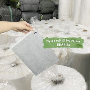 Bao bọc bưởi da xanh kích cỡ 30x35cm thương hiệu Thanh Hà Bao bọc bưởi da xanh kích cỡ 30x35cm thương hiệu Thanh Hà