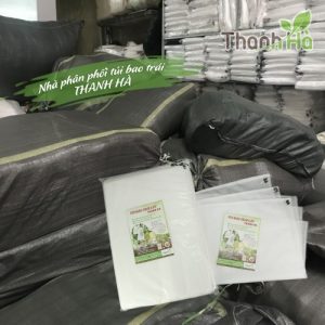 Bao bọc mít hiệu quả kích thước 50x70cm hiệu Thanh Hà