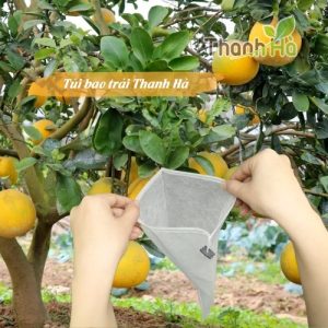 Bao bọc trái cây Thanh Hà kích thước 25x30cm độ bền cao