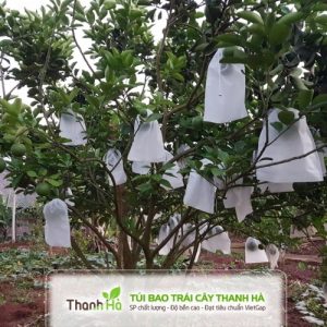 Bao trái bưởi, bao trái cây Thanh Hà độ bền cao kích thước 25x30cm