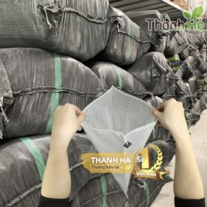 Bao trái bưởi, túi bao bưởi Da Xanh thương hiệu Thanh Hà kích cỡ 30x35cm