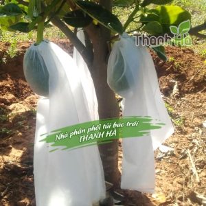 Bao trái mít, túi bao mít Thanh Hà kích thước 50x70cm chất lượng cao