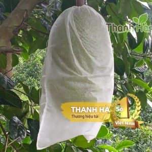 Bọc bao trái cây, bọc mít Thái kích thước 50x70 sản xuất bởi Thanh Hà