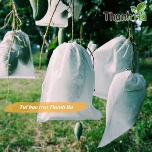 Bọc trái cây độ bền cao kích thước 20x27cm chính hãng Thanh Hà