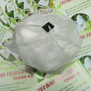 Hướng dẫn cách bao trái xoài bằng túi dây rút kích cỡ 20x27cm hiệu Thanh Hà