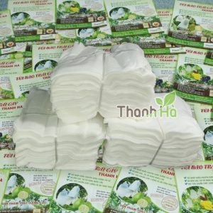 Mua túi bọc ổi giá tốt kích thước16x20cm thương hiệu Thanh Hà 