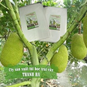 Túi bao mít thái, túi bọc mít Thanh Hà chính hãng kích thước 50x70cm