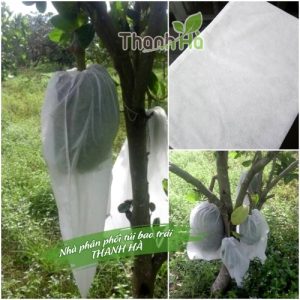 Túi bao mít thái, bao trái cây Thanh Hà kích thước 50x70cm chất lượng