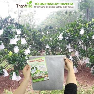 Túi bao quả bưởi, bọc trái cây Thanh Hà chính hãng kích thước 25x30cm