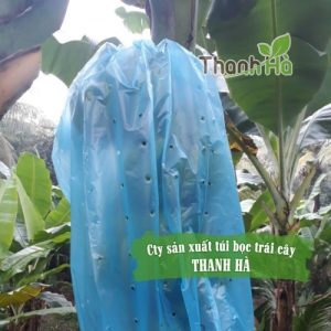 Túi bọc trái cây - Túi bóng 1kg Túi bọc trái cây - Túi bóng 1kg