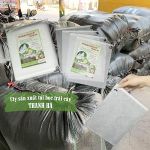 Túi bao trái chuyên dụng thương hiệu Thanh Hà kích cỡ 20x27 bao xoài, nho