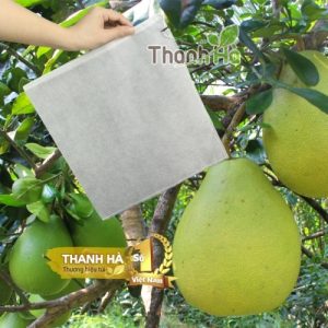 Túi bao trái kích thước 30x35 Túi bao trái kích thước 30x35