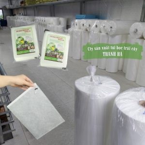 Túi bọc bưởi da xanh Thanh Hà kich cỡ 30x35cm tái sử dụng nhiều lần