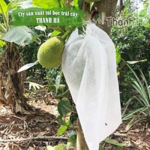 Túi bọc quả mít, túi bọc trái cây thương hiệu Thanh Hà kích cỡ 50x70cm