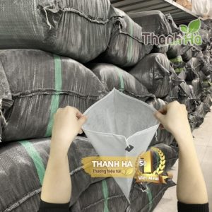 Túi bọc quả xoài Thanh Hà kích thước 20x27cm phòng côn trùng phá hại