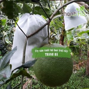 Túi bọc trái bưởi sử dụng dây rút kích thước 25x30cm hiệu Thanh Hà 