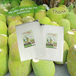 Túi bọc trái cây chống côn trùng Thanh Hà loại 50x70cm bao mít
