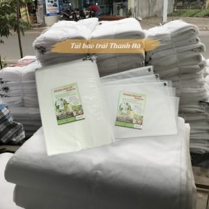 Túi bọc trái cây daklak bao chuối kích thước 60x100cm sản xuất bởi Thanh Hà