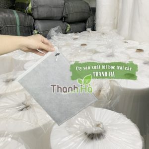 Túi bọc trái cây Hà Nội giá sỉ kích thước 25x30cm hiệu Thanh Hà 