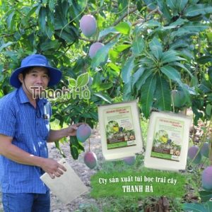 Túi bọc trái cây loại 1 thương hiệu Thanh Hà kích thước 20x27cm