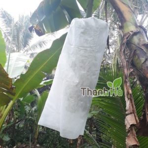 Túi bọc trái cây tránh côn trùng bao chuối kích cỡ 60x100cm hiệu Thanh Hà