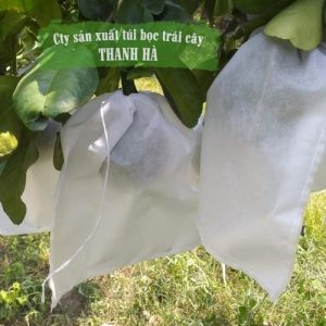 Túi bọc trái cây tránh côn trùng chính hãng Thanh Hà kích cỡ 30x35