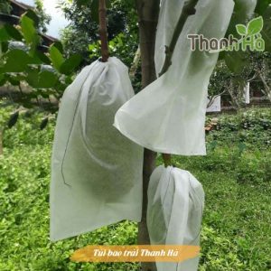 Túi bọc trái Thanh Hà kích cỡ 50x70cm chuyên bao mít