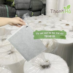 Túi không dệt bao xoài chất lượng 20x27cm tái sử dụng được nhiều lần