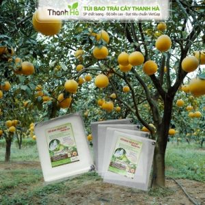 Túi vải bao bưởi dây rút, bọc trái cây kích thước 25x30cm sản xuất bởi Thanh Hà